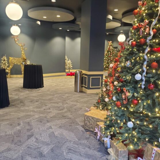 a christmas tree with wrapped boxes under it in a large room